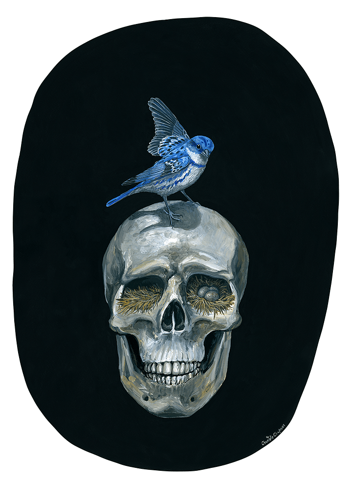 The Meek (Cerulean Warbler) - Art Print product image (1)