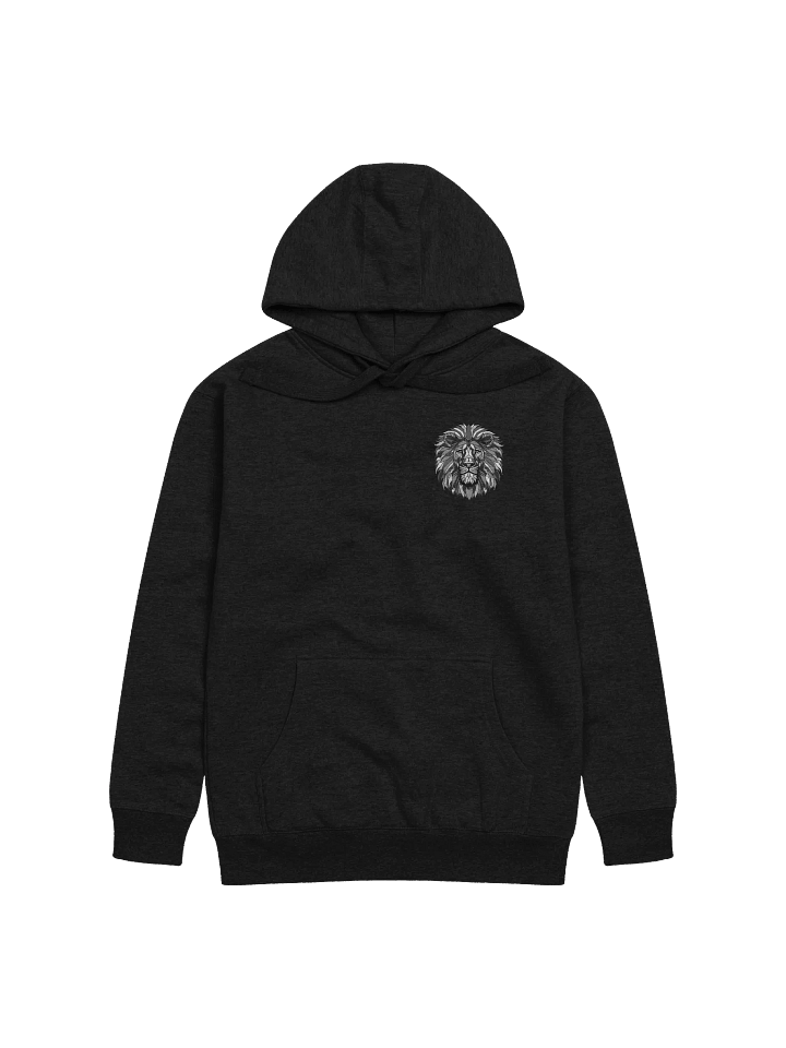 Lion of Judah Abstract | Hoodie product image (1)