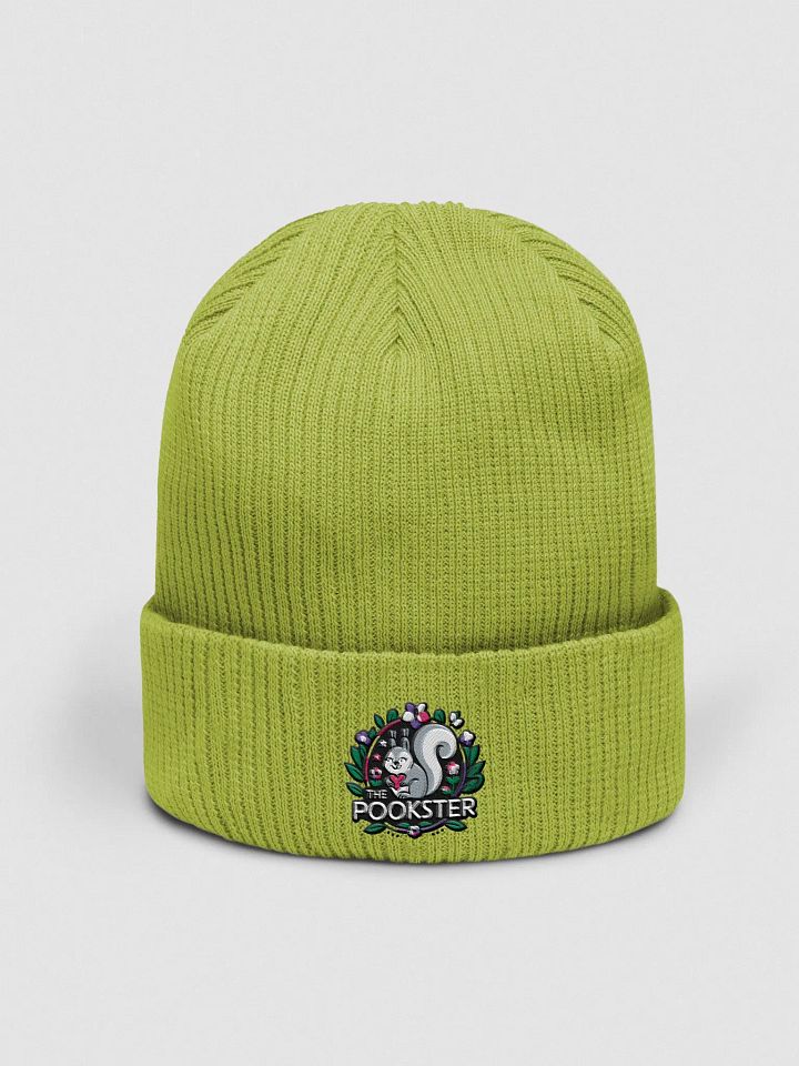 Organic Cotton Embroidered Beanie: The Pookster product image (1)