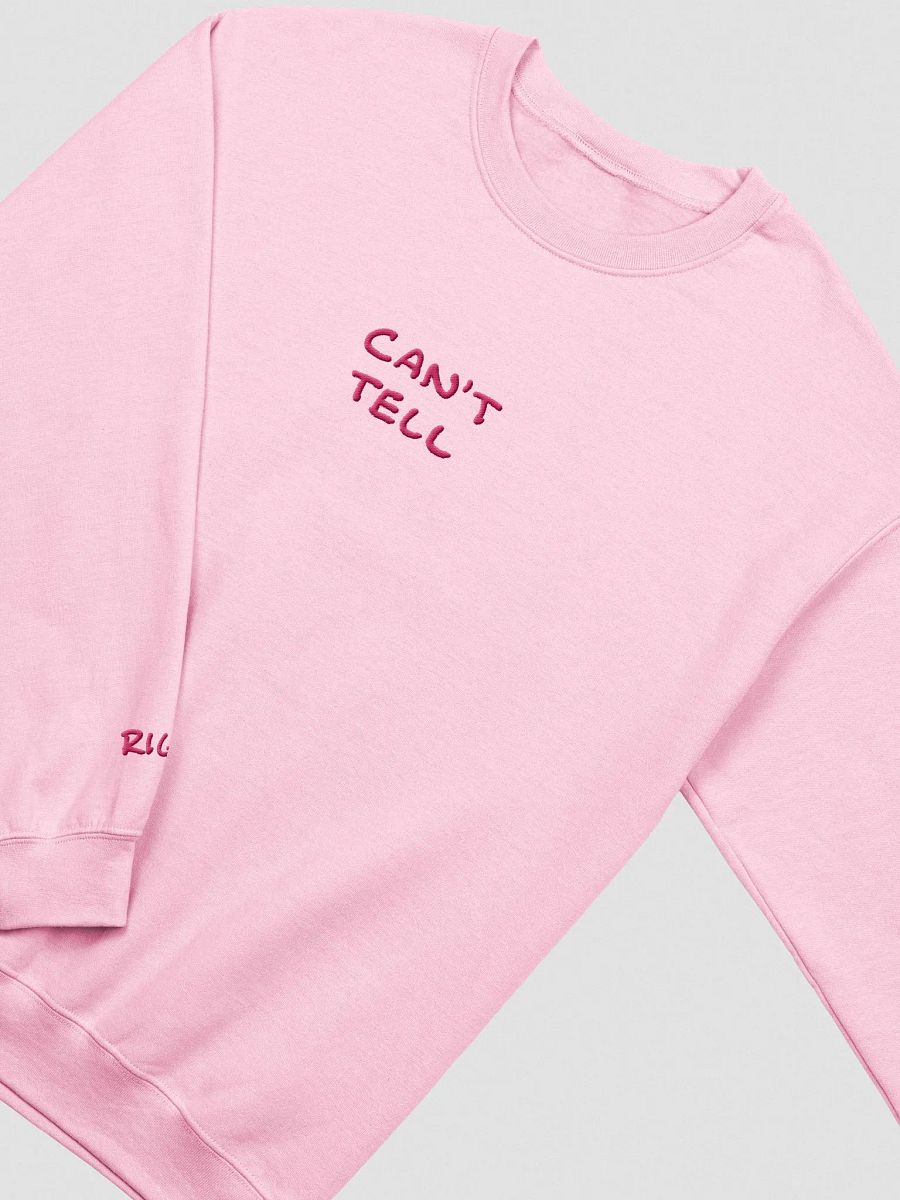 CAN'T TELL embroidered crewneck (pink) product image (2)