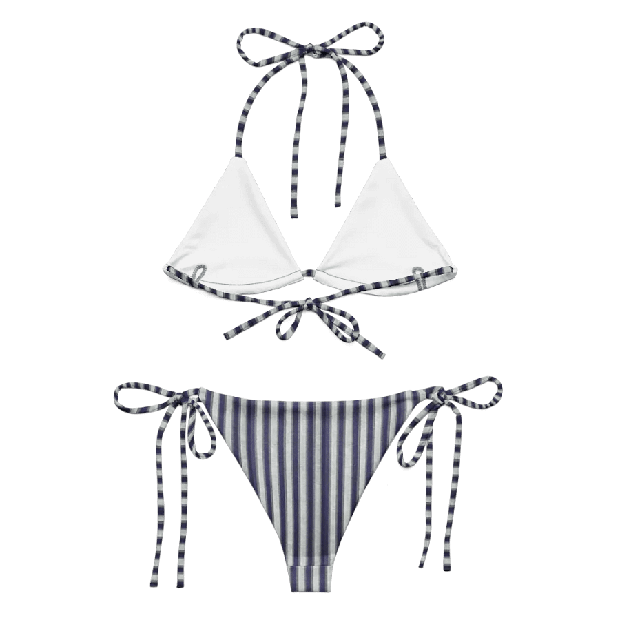 The Gray Areas Striped Bikini product image (3)