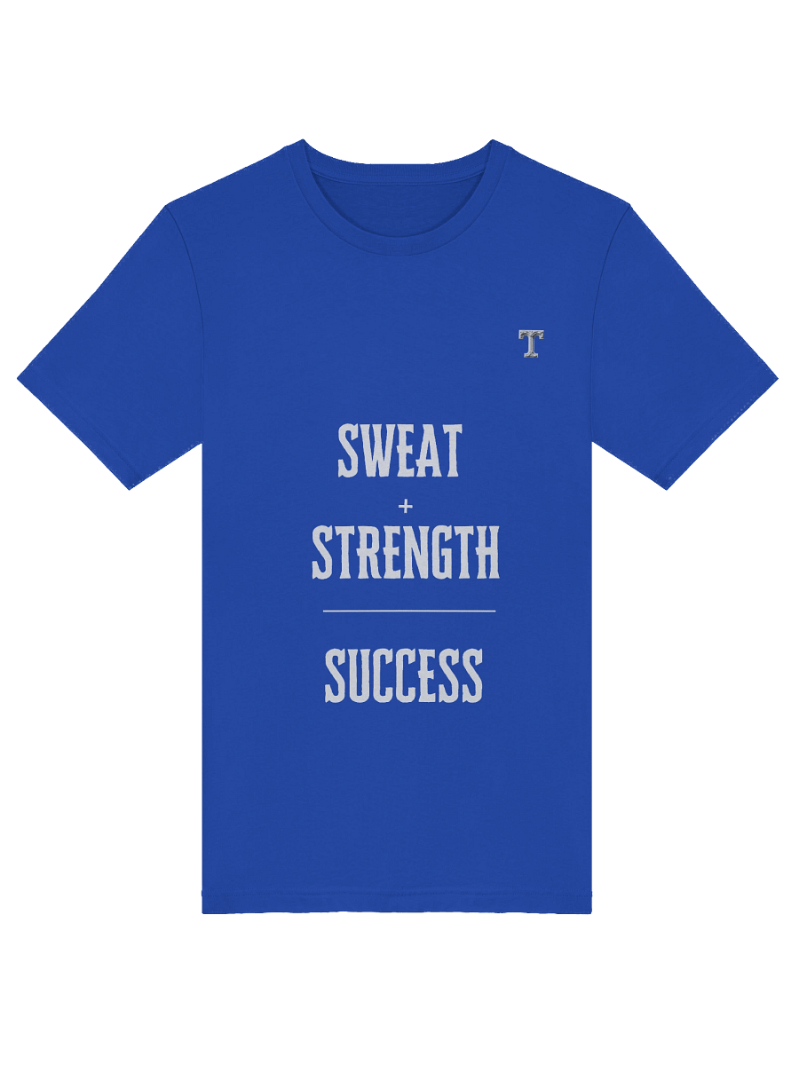 Sweat + Strength = Success T-Shirt product image (46)