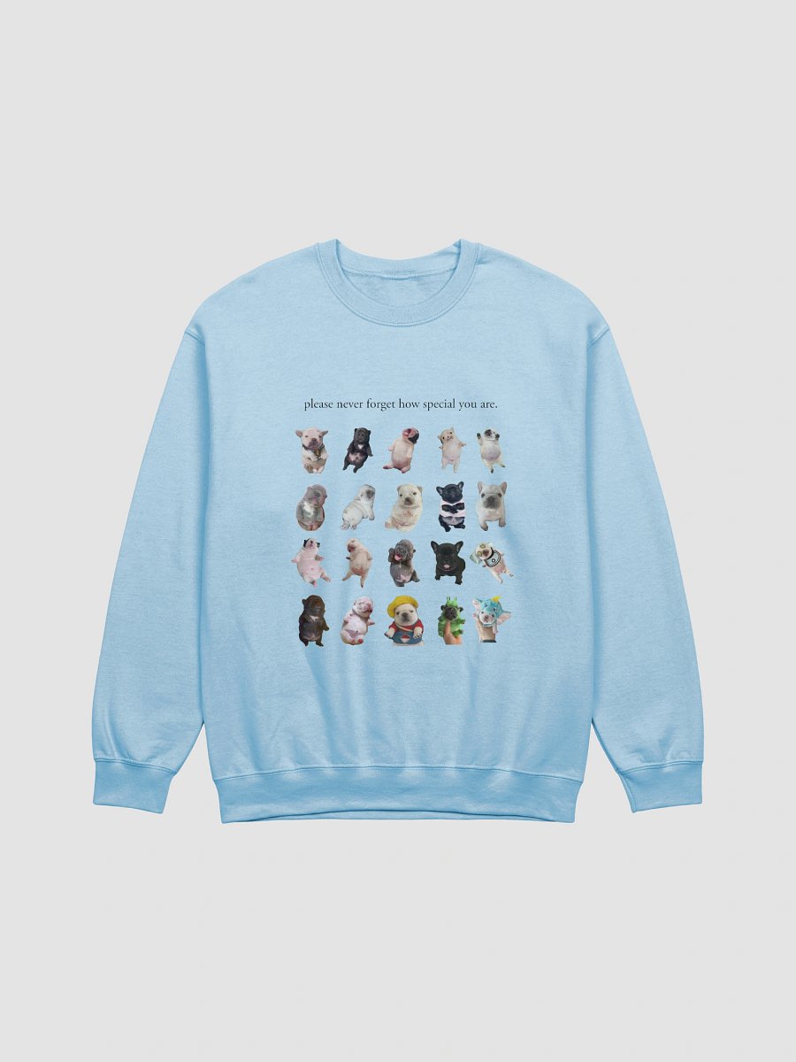 you are so special crewneck (and backside) - light colors product image (4)