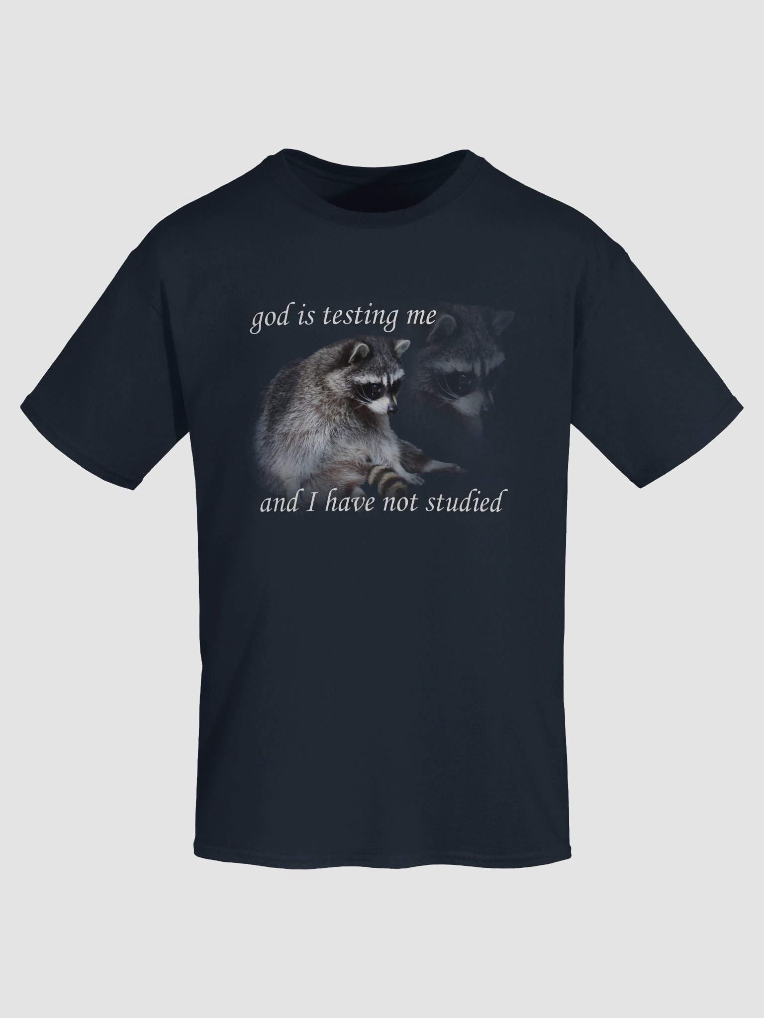 God is Testing Me Raccoon T-shirt product image (70)