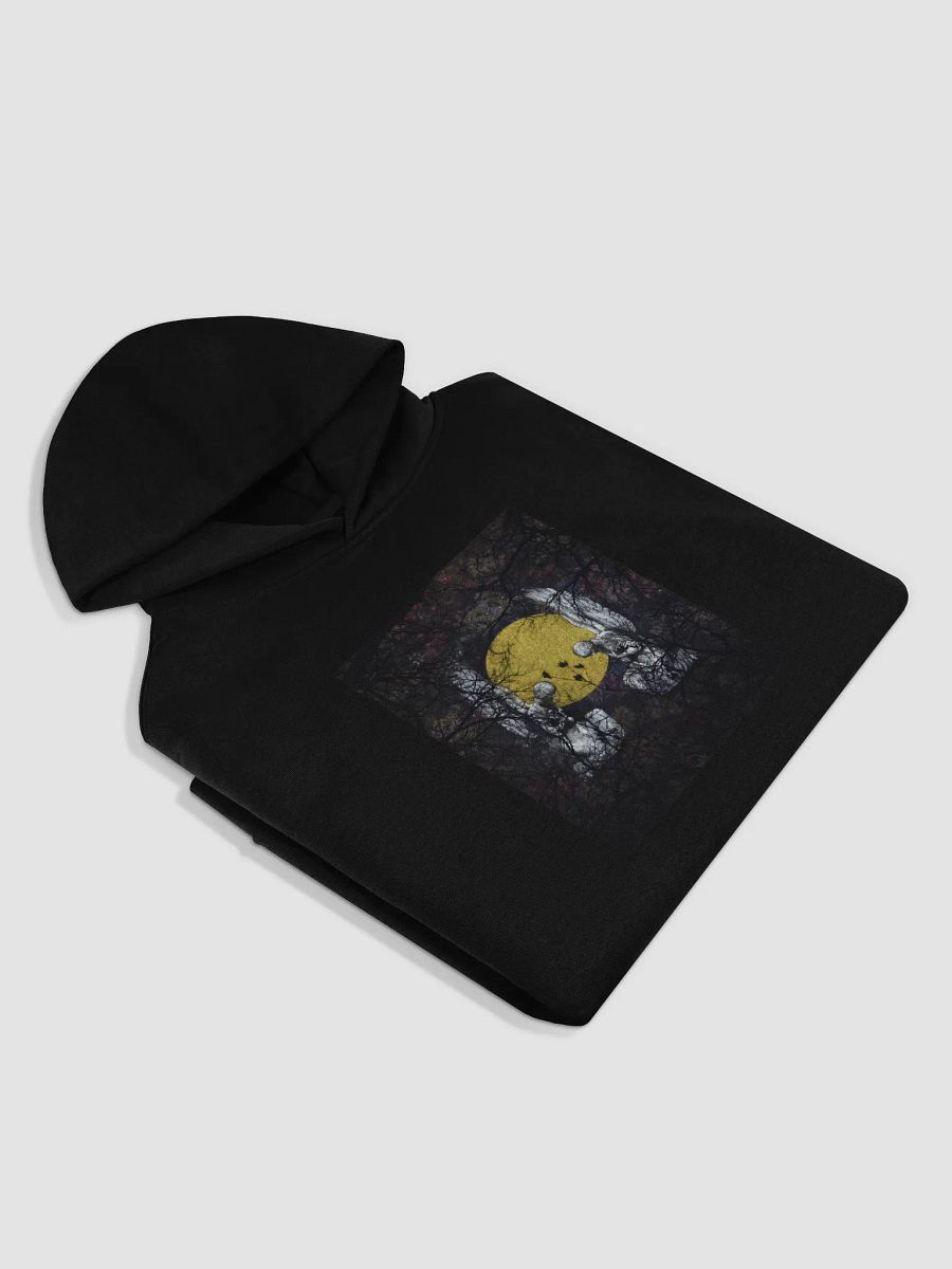 Naphtaline Hoodie product image (4)
