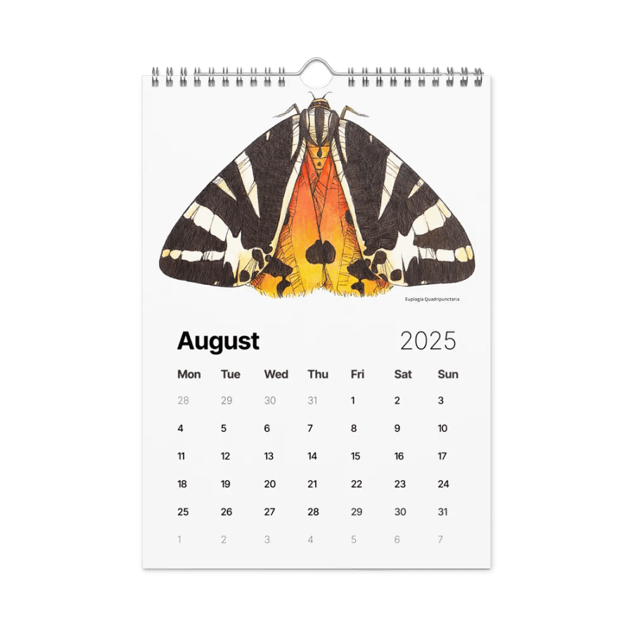 INSECTUM ABSTRACTUS - 2025 Calendar product image (5)