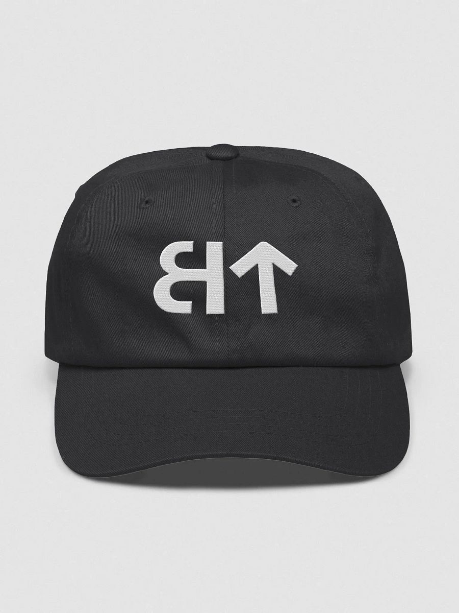 BT Logo Hat product image (2)