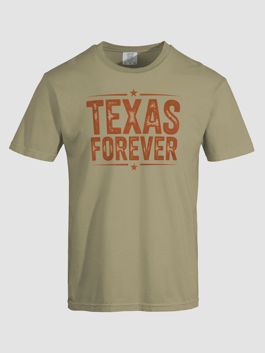 Texas Forever Distressed T-Shirt product image (60)