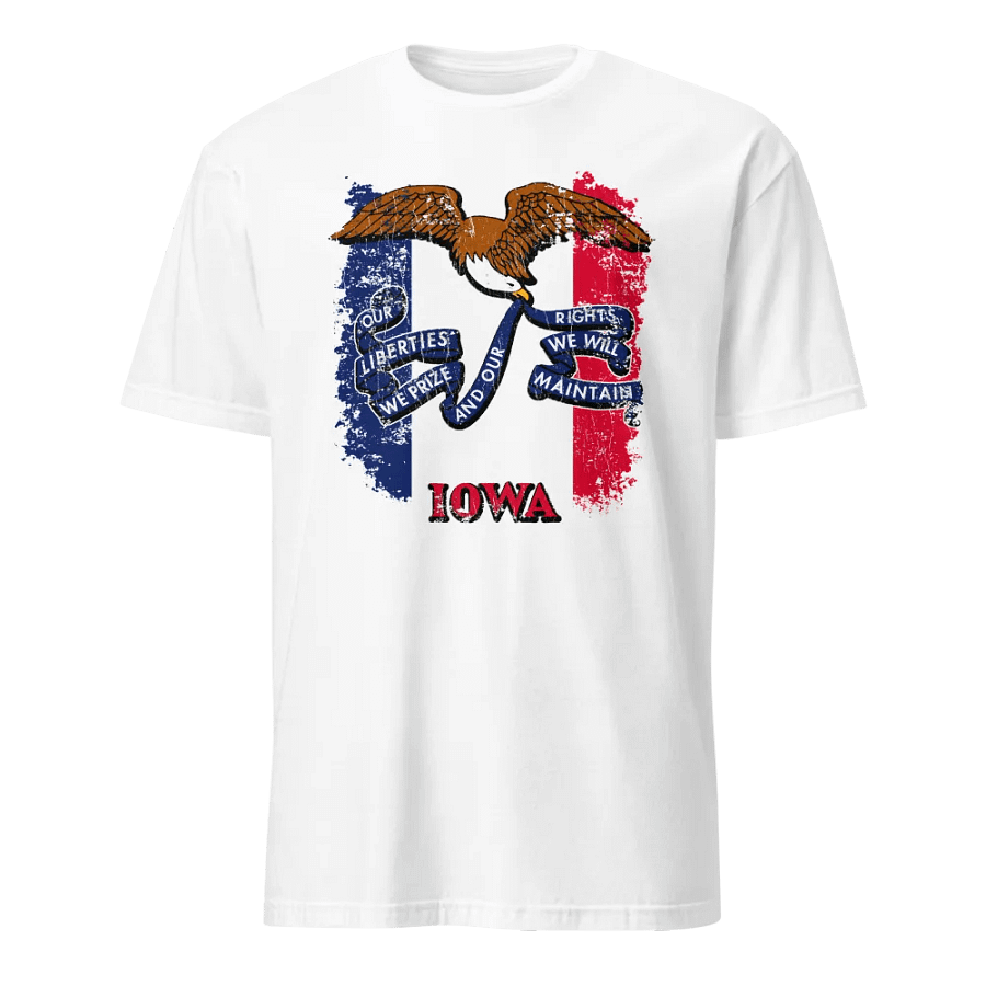 Iowa State Flag product image (1)