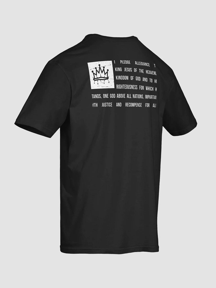 The Pledge product image (1)