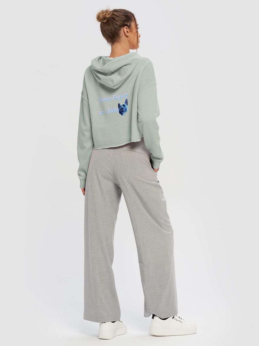 TROIB Cropped Hoodie in blue product image (4)