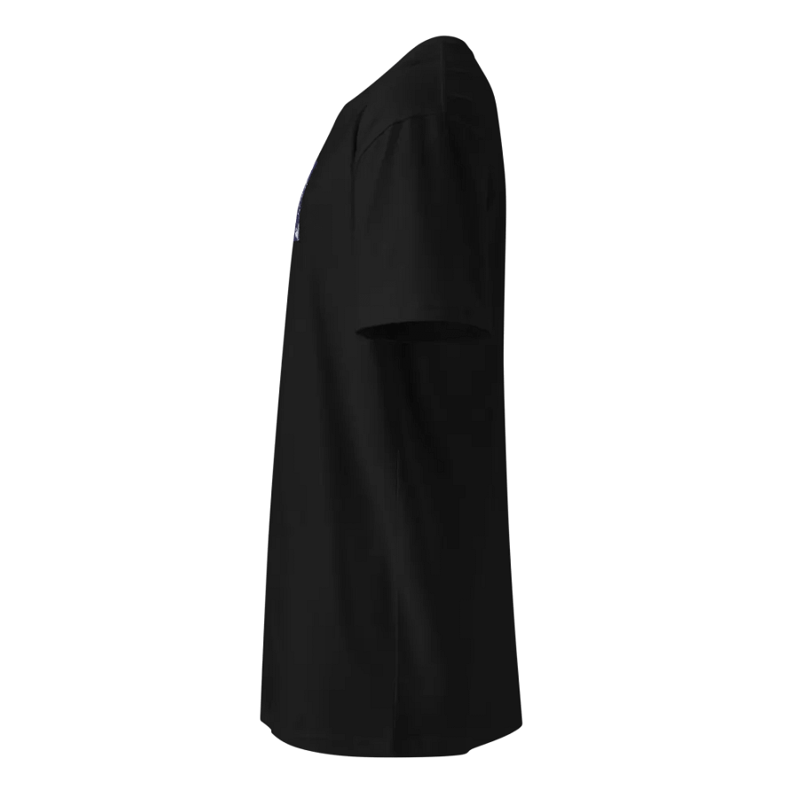 FoxiVixen Enigmatic T-Shirt product image (12)