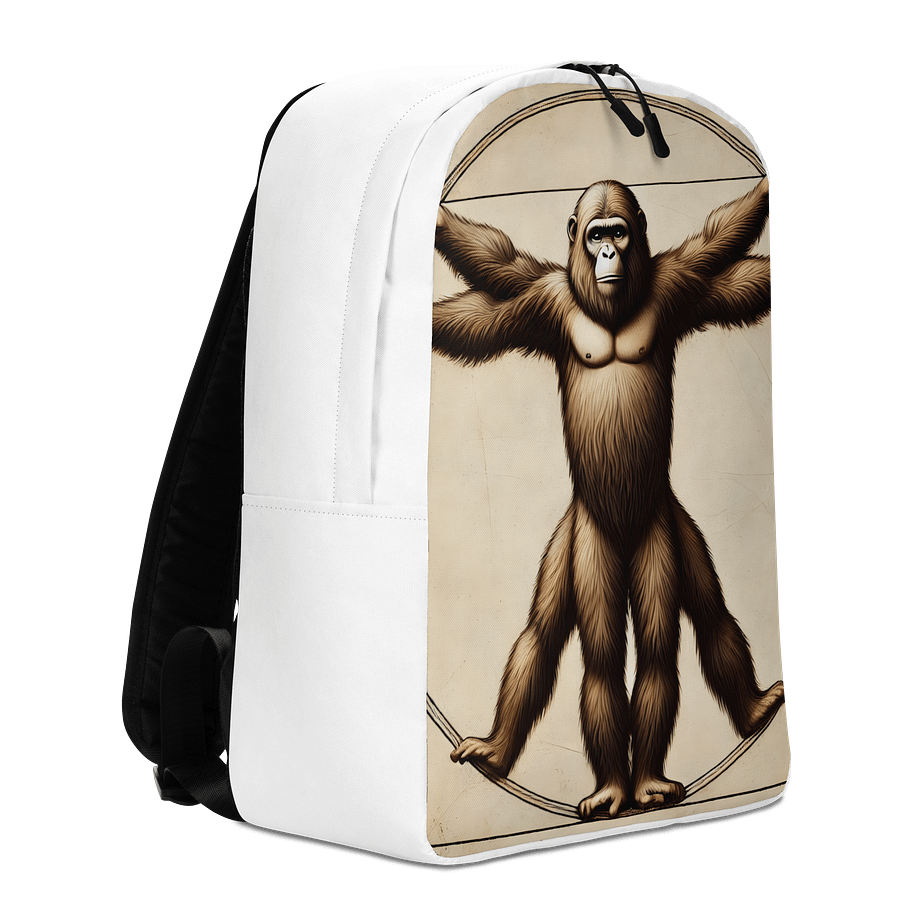 Backpack product image (3)