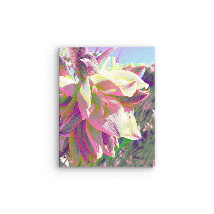 Highlighter Yucca product image (4)