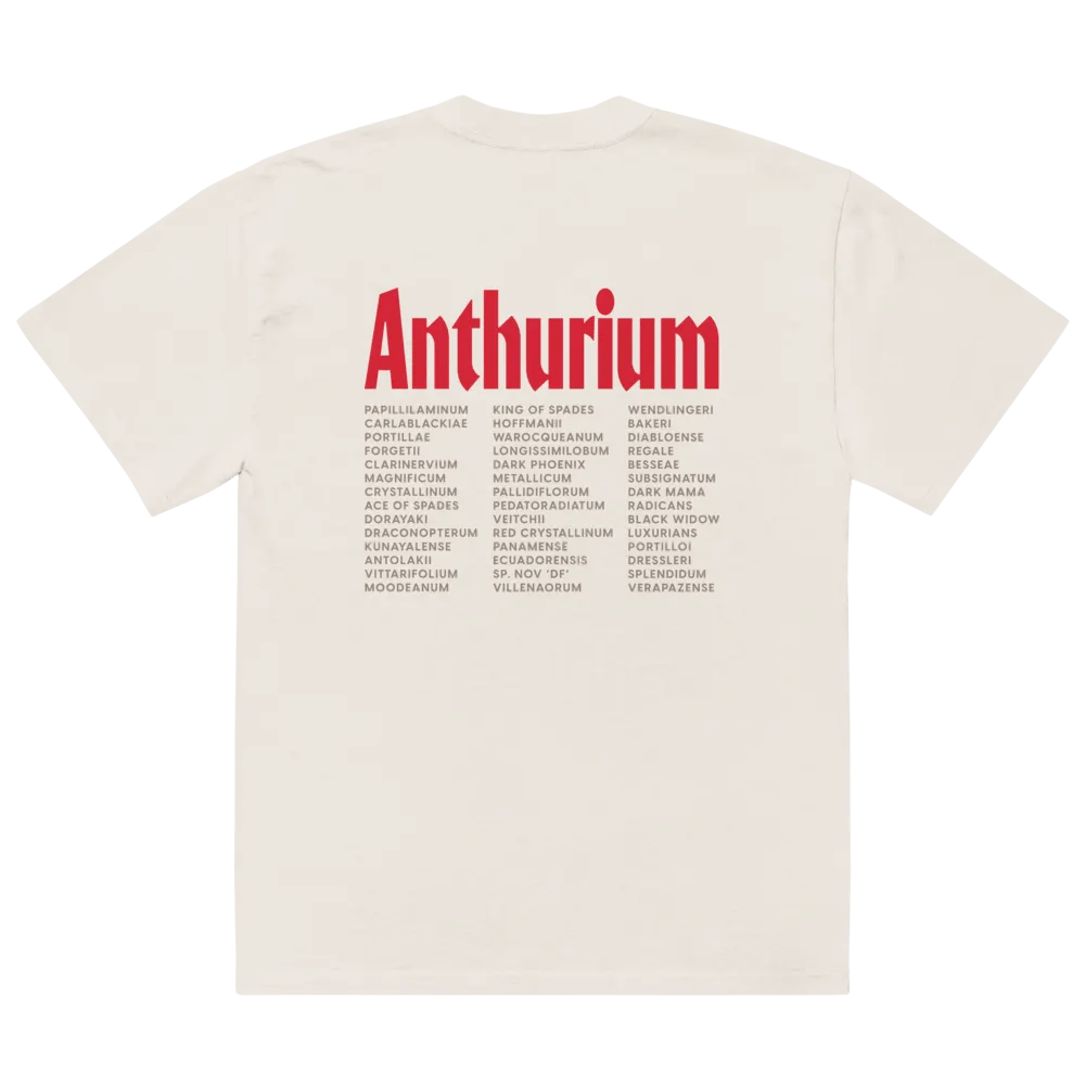 ⚡️ ANTHURIUM WORLD TOUR ⚡️ oversized tee product image (4)