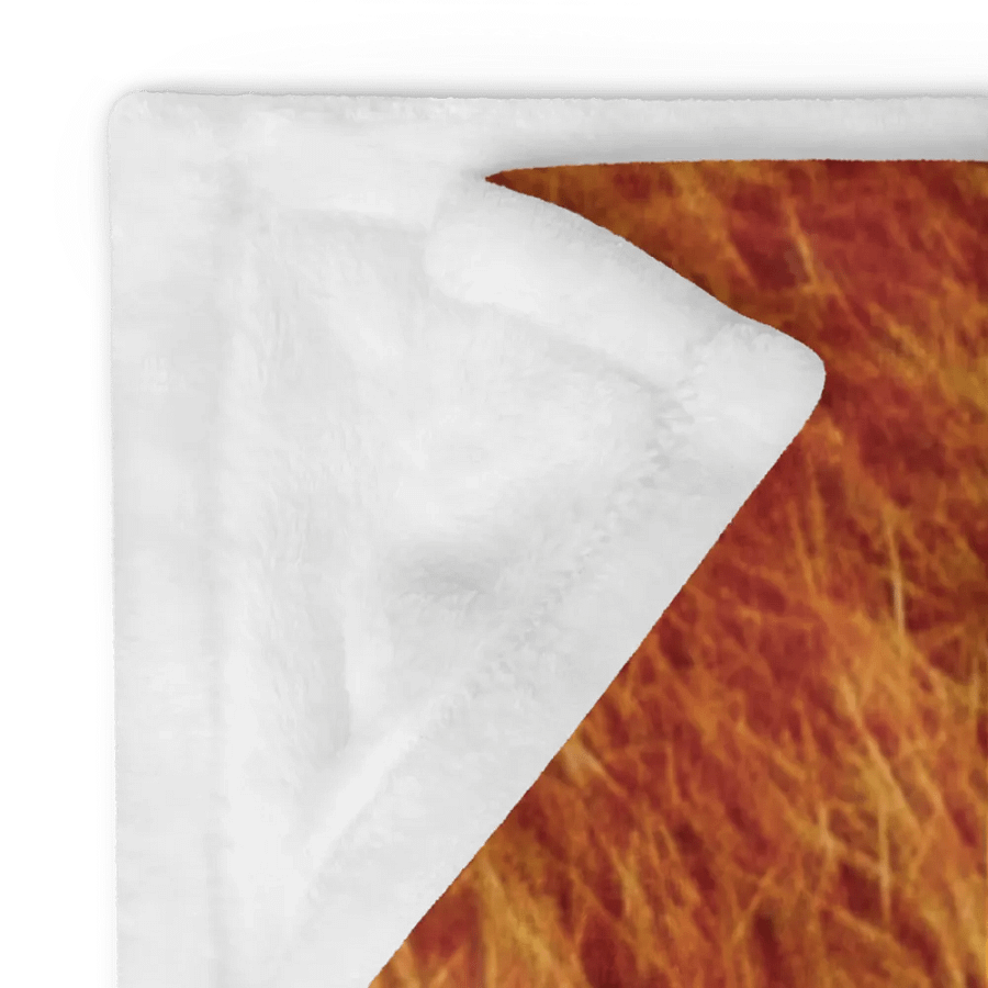 Fuzzy Orange Dream Throw Blanket product image (24)