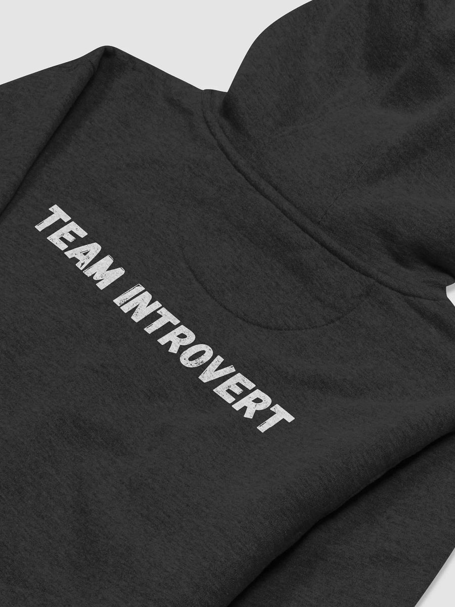 The Introvert's Anthem Hoodie product image (4)