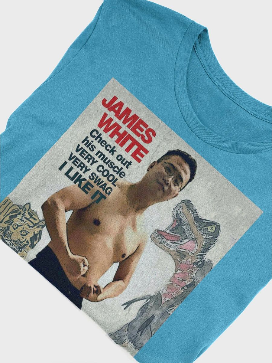 Bella+Canvas Supersoft T-Shirt: swag warrior product image (47)