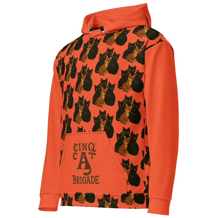 Orange Kitty Abstract Recycled Hoodie product image (2)