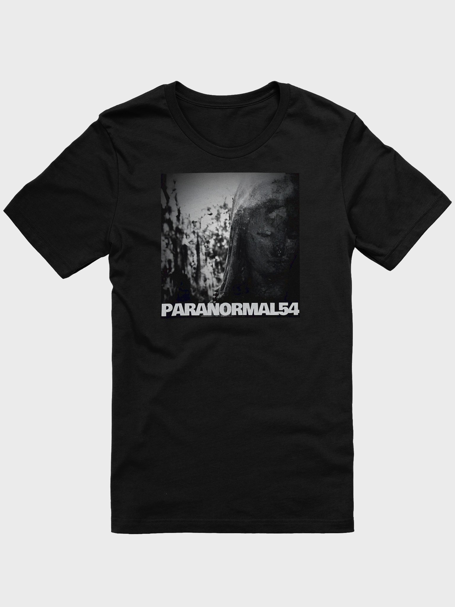 Haunted Mother Mary Statue T-Shirt product image (1)