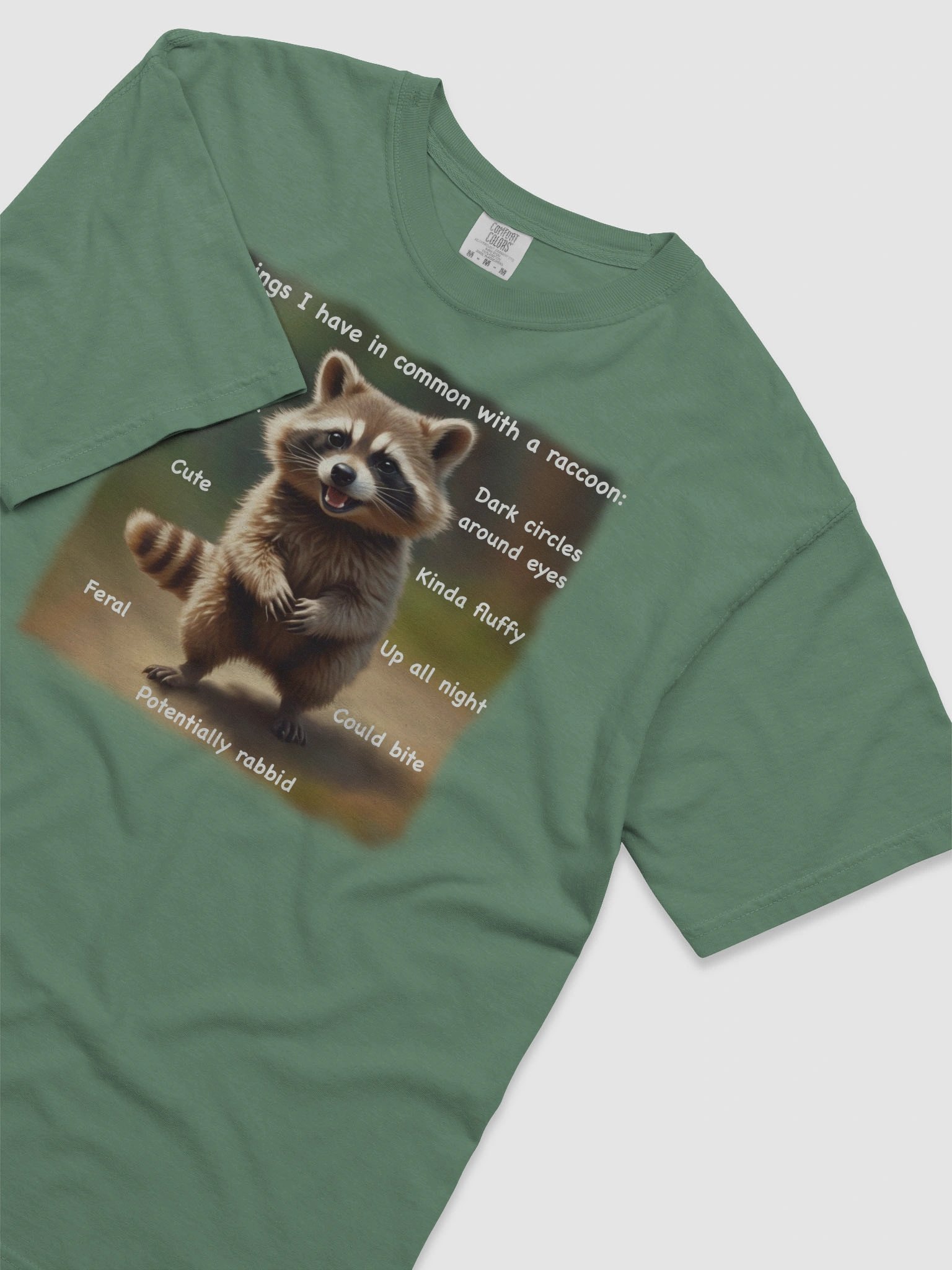Raccoon Vibes Heavyweight Tee product image (67)