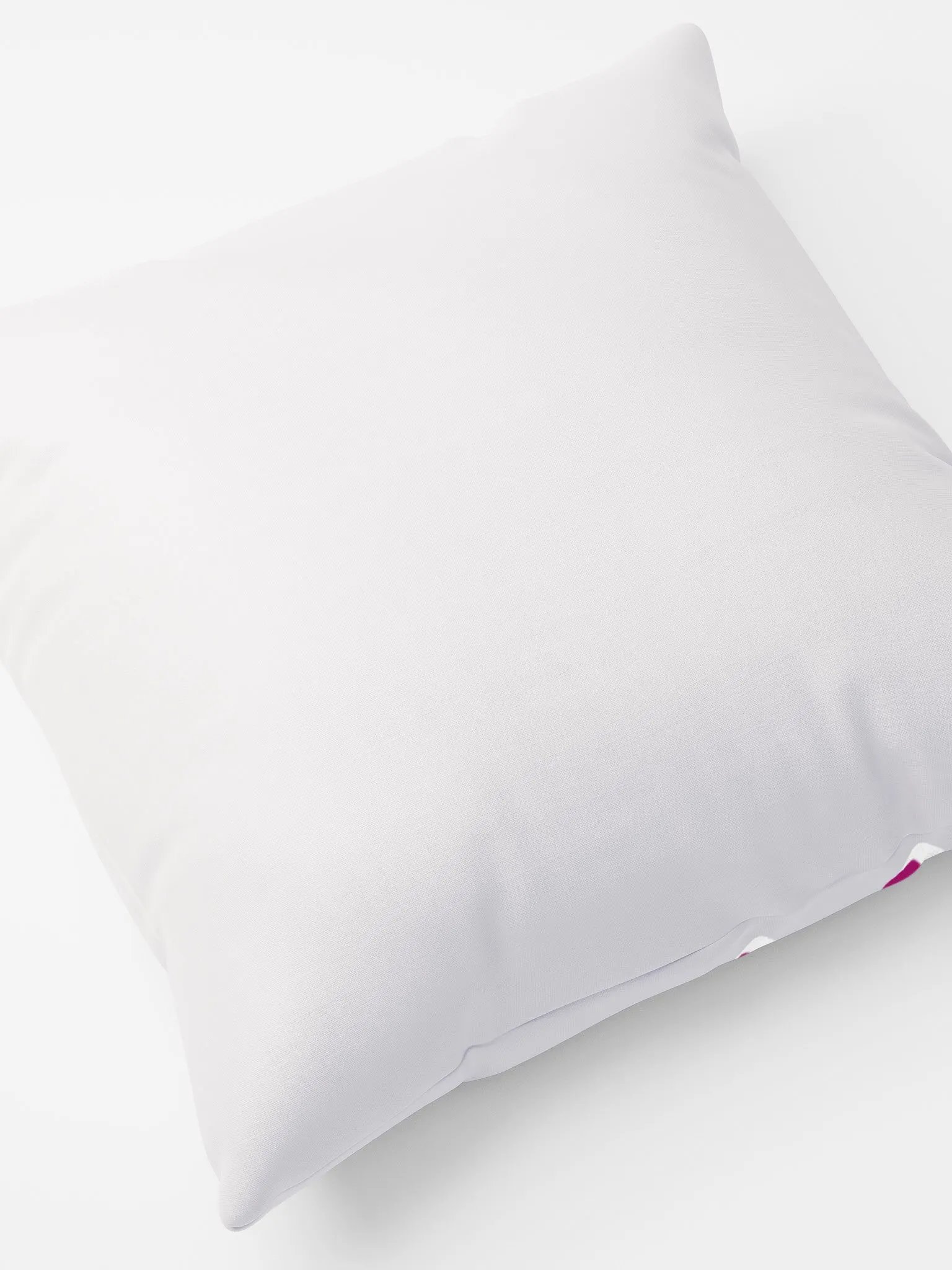 Paint Bucket Lesbian Love Pillow product image (7)