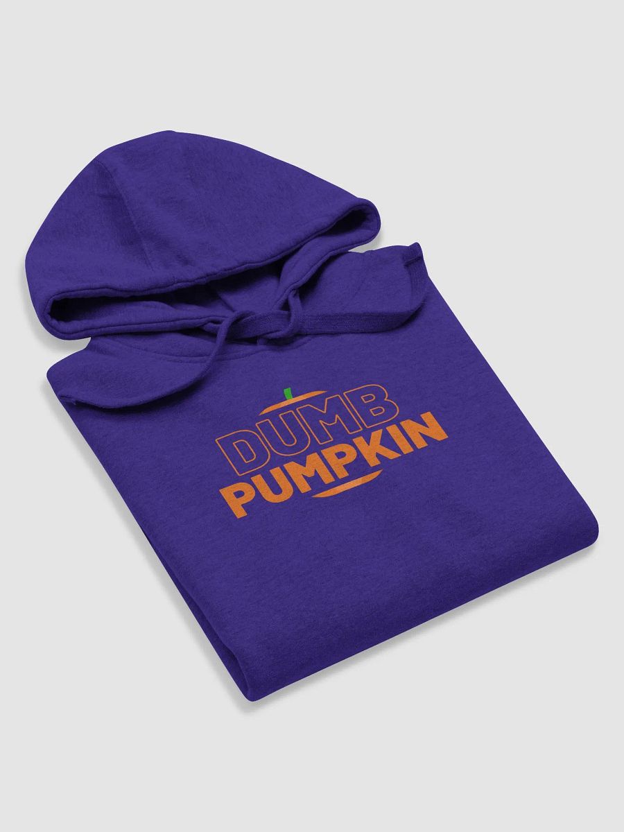Dumb Pumpkin Hoodie product image (33)