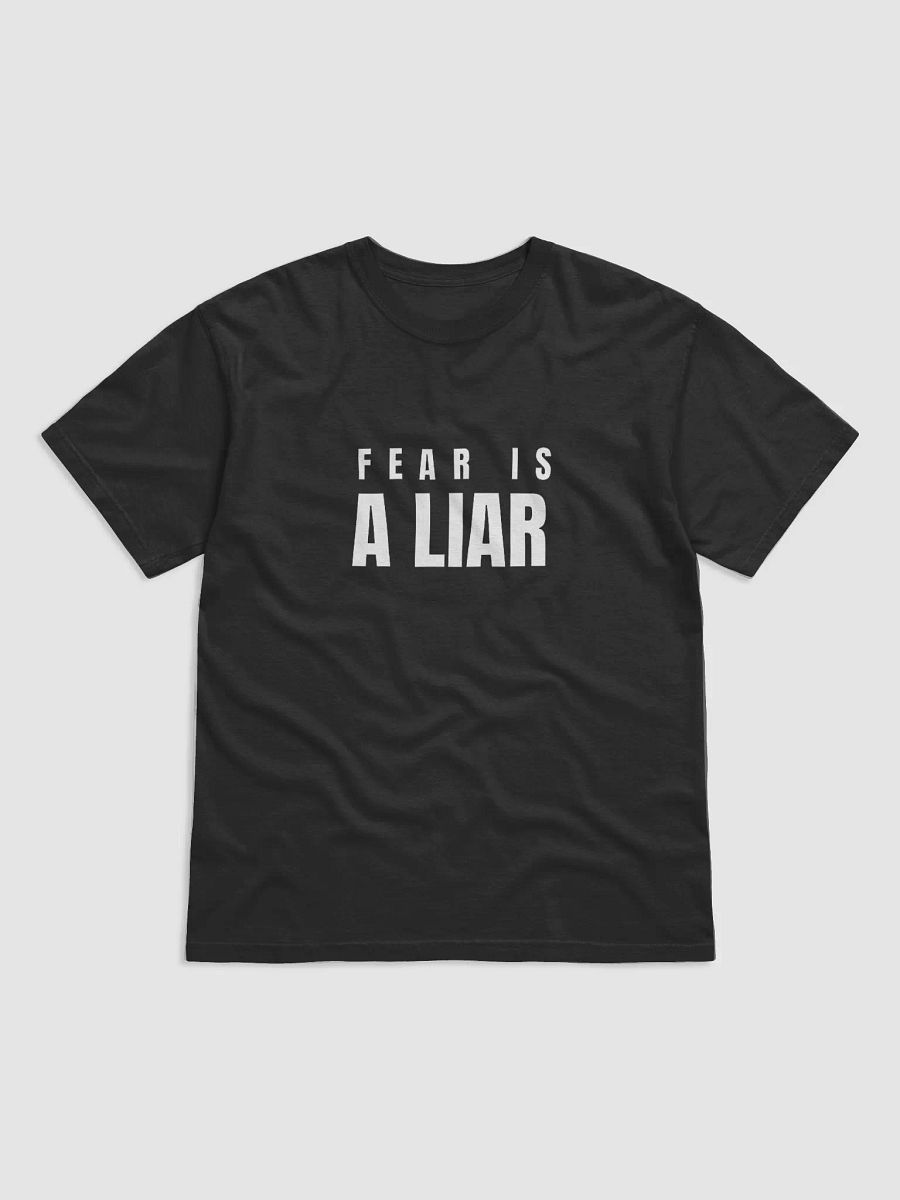 FEAR IS A LIAR product image (2)