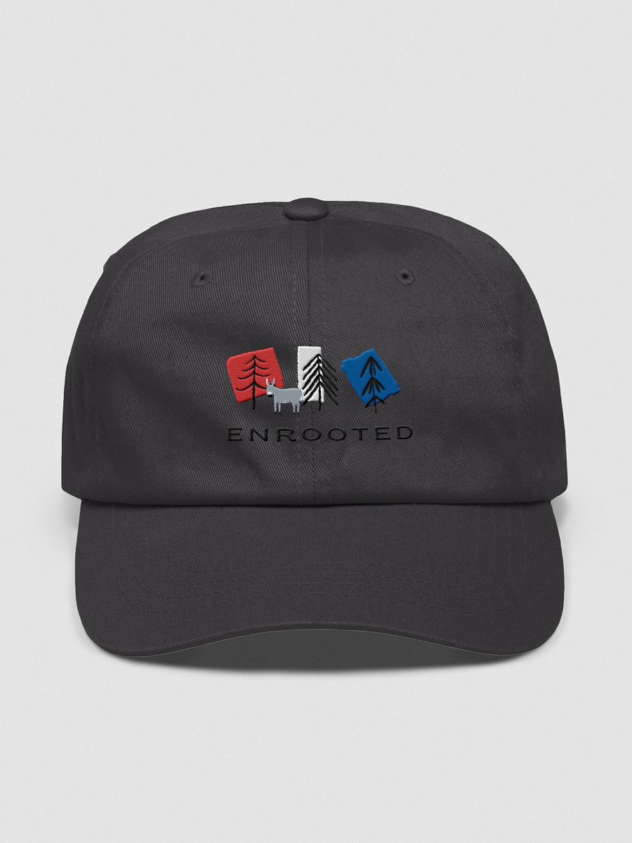 Patriotic Enrooted Flexible Fit Hat product image (1)