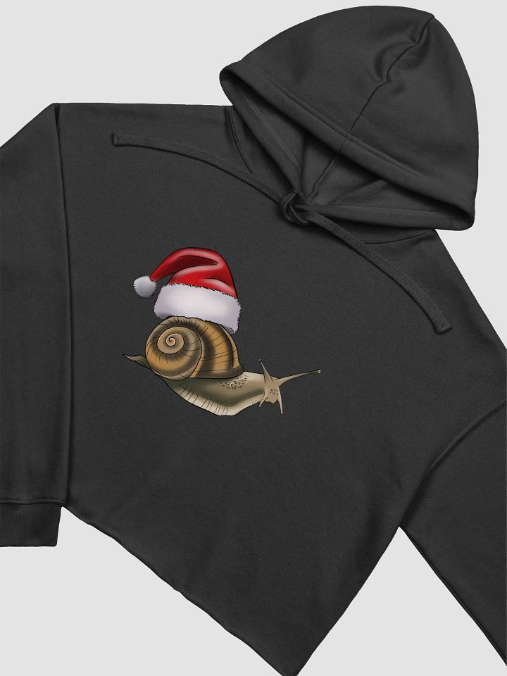Santa Snail product image (1)
