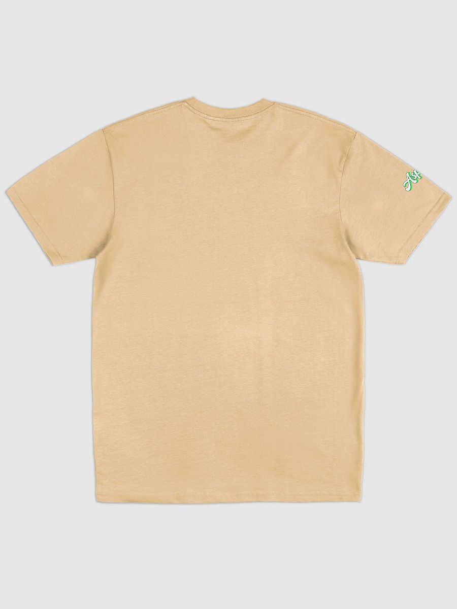 Aspero Cotton Heritage Men's Premium Heavyweight Tee product image (28)