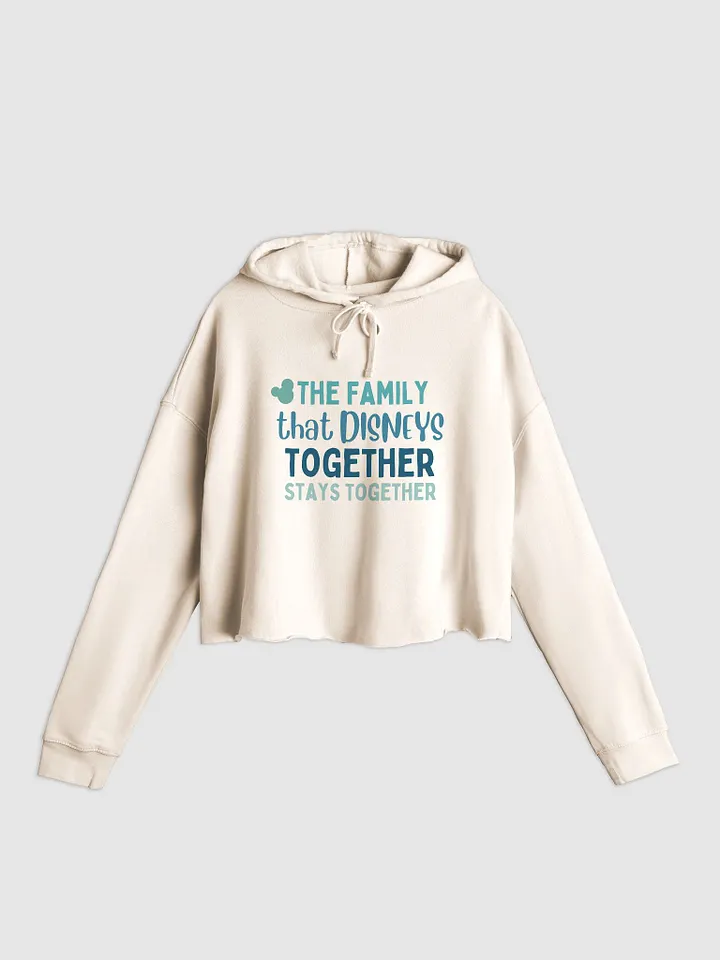 Disney World Family Crop Hoodie product image (1)