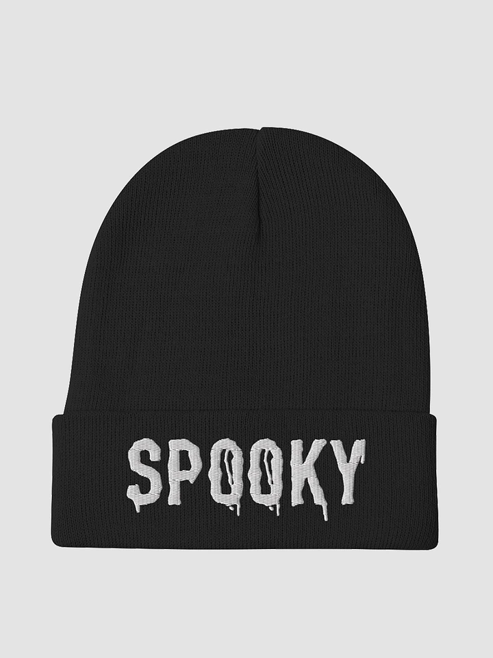 SP00KY Beanie product image (1)