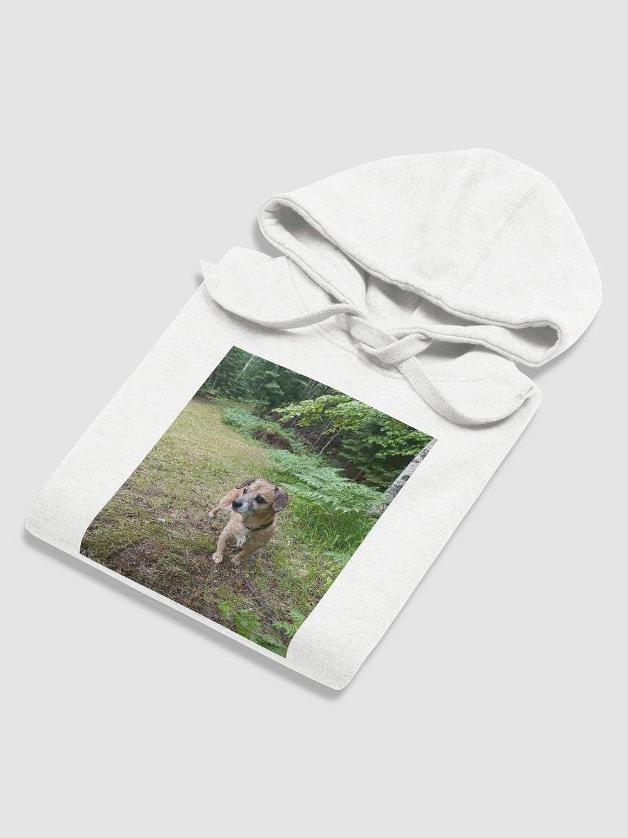 Rocky Hoodie product image (6)