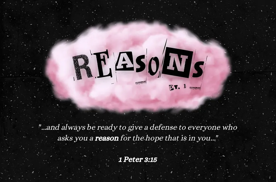 REASONS PT 1 | Instant Download product image (4)