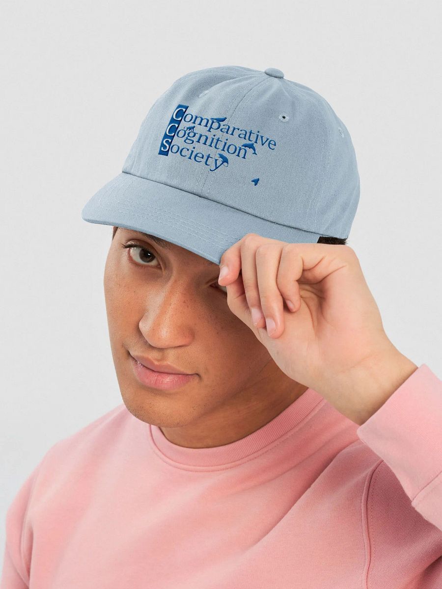 CCS baseball cap product image (13)