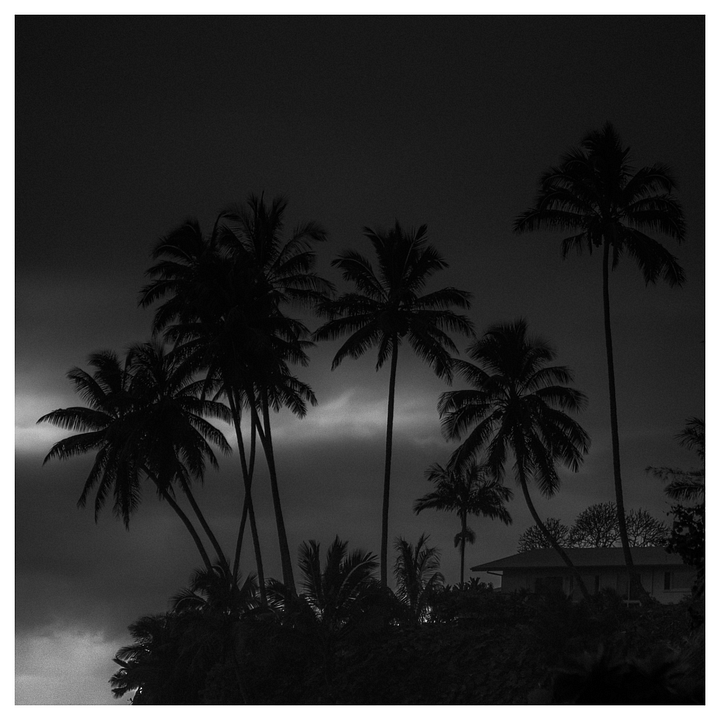 HONOLI'I #01 product image (1)