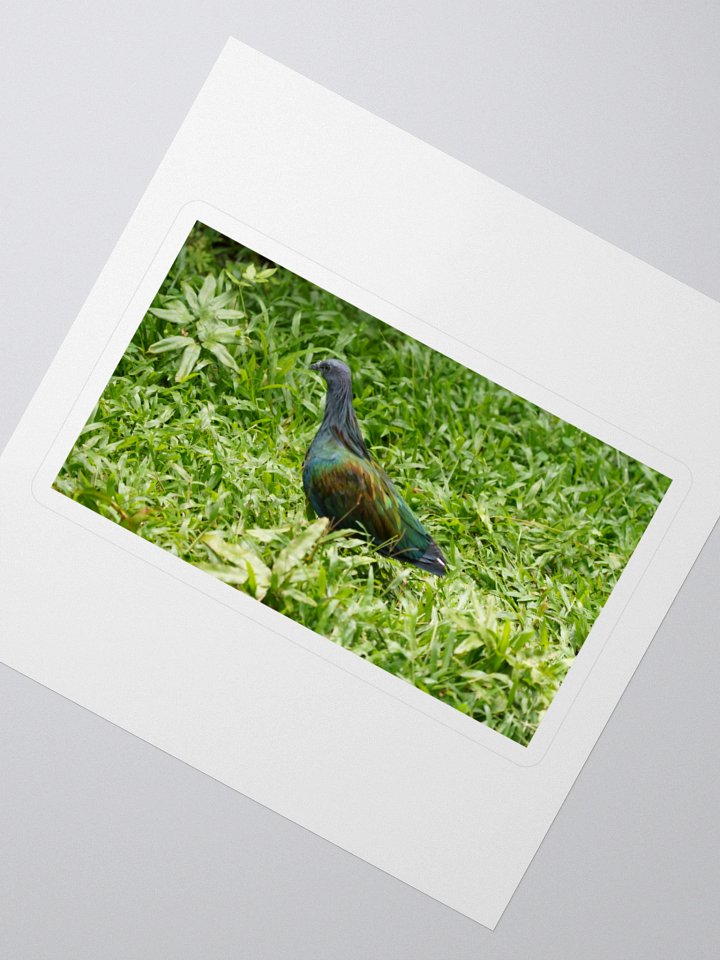 Iridescent Bird Kiss Cut Stickers product image (2)