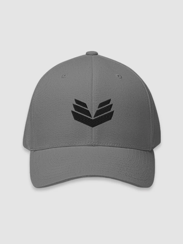 SS'23 Fitted Cap - Gray product image (1)