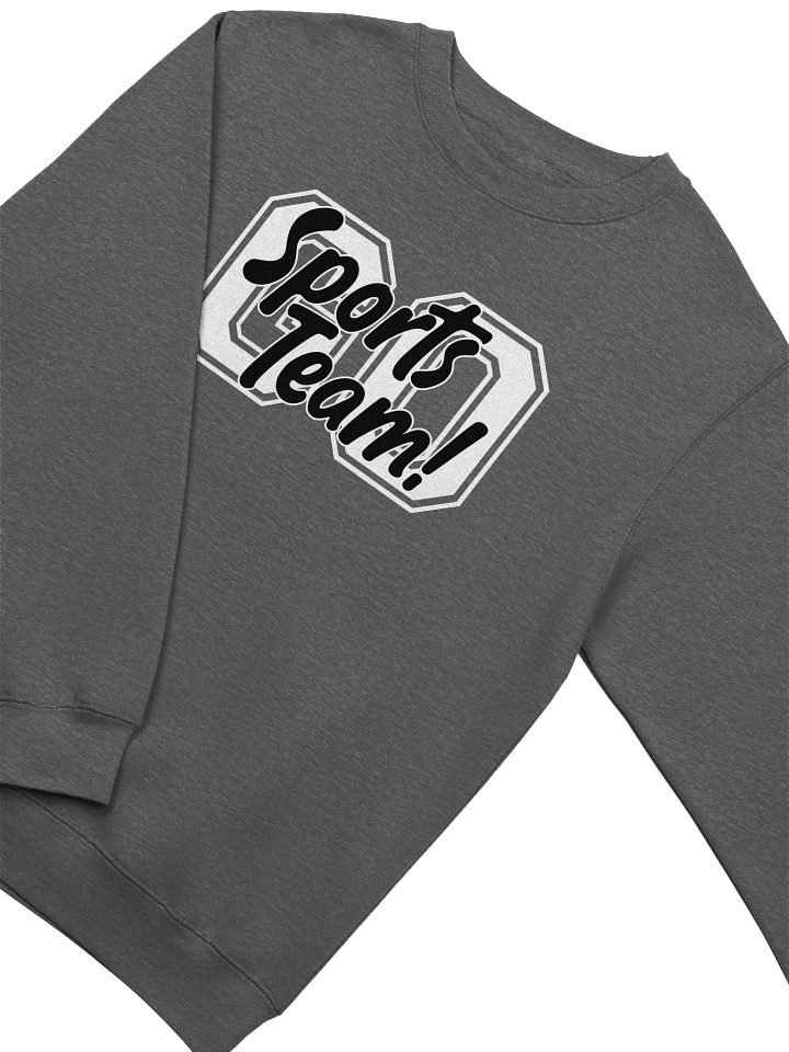 Go Sports Team! product image (1)