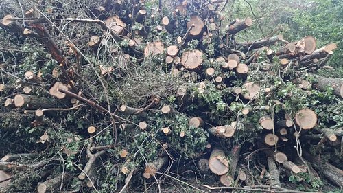 This morning around 6:50 I went for a short walk of about 5.8 km because I couldn't sleep.
Along the way I met many spiders a...