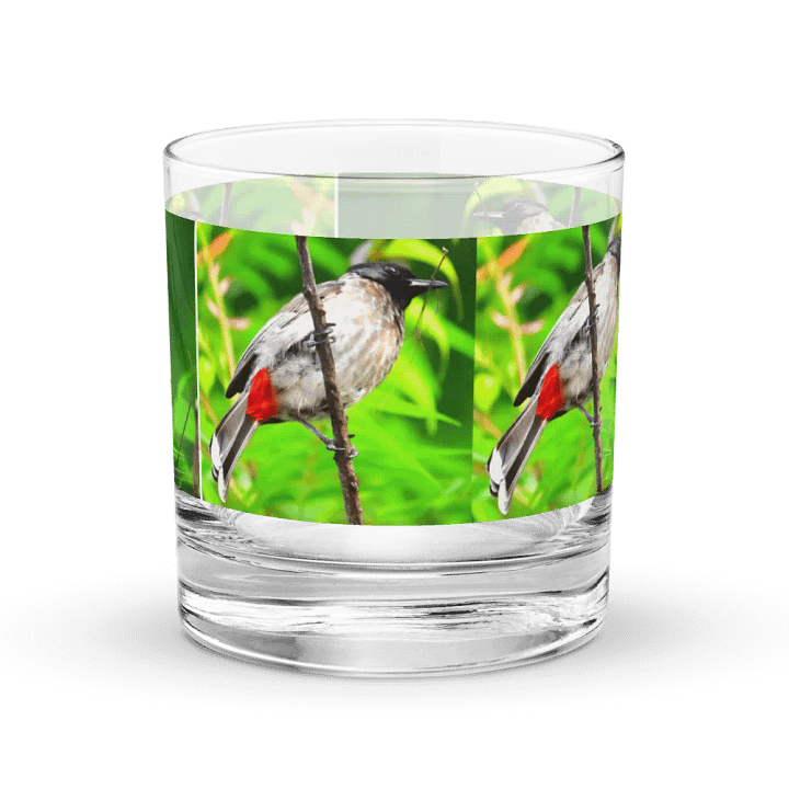 IUCAA Birds GLASS product image (2)