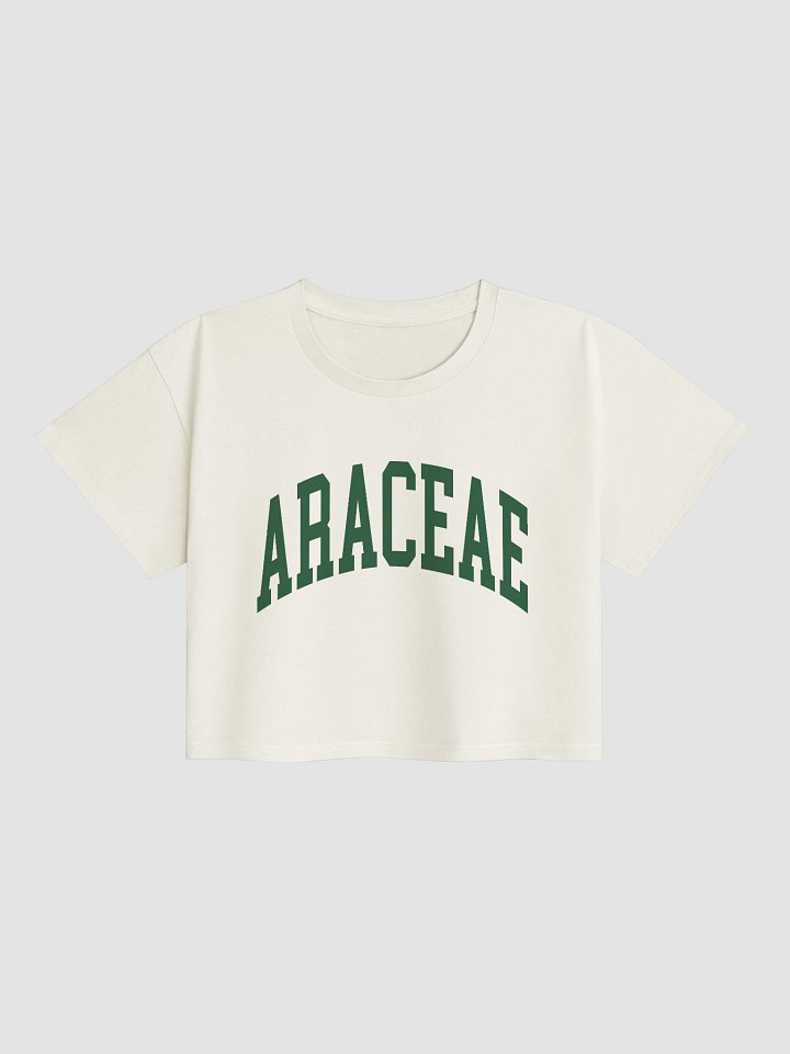 ARACEAE VARSITY - Crop Top product image (4)