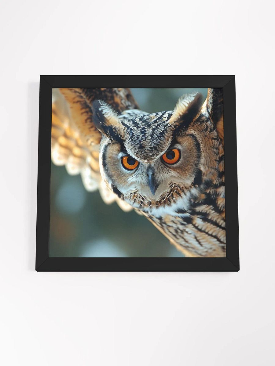 Owl in Flight: Intense Hunting Close-Up product image (4)
