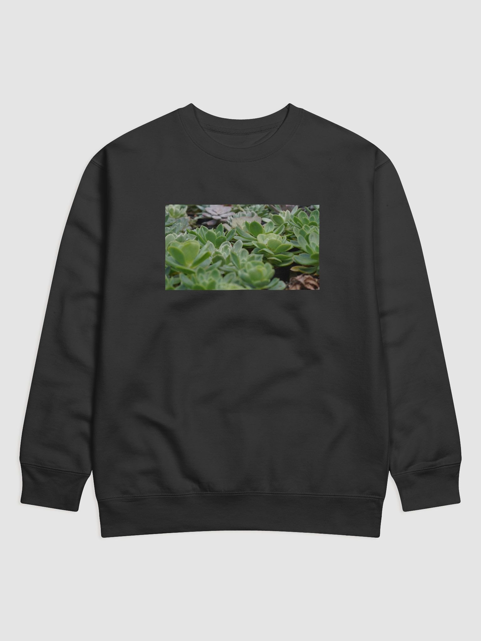 Verdant Oasis Cotton Sweatshirt product image (1)