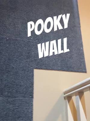 #pookythesquirrel #squirrel #cagetheelephant 