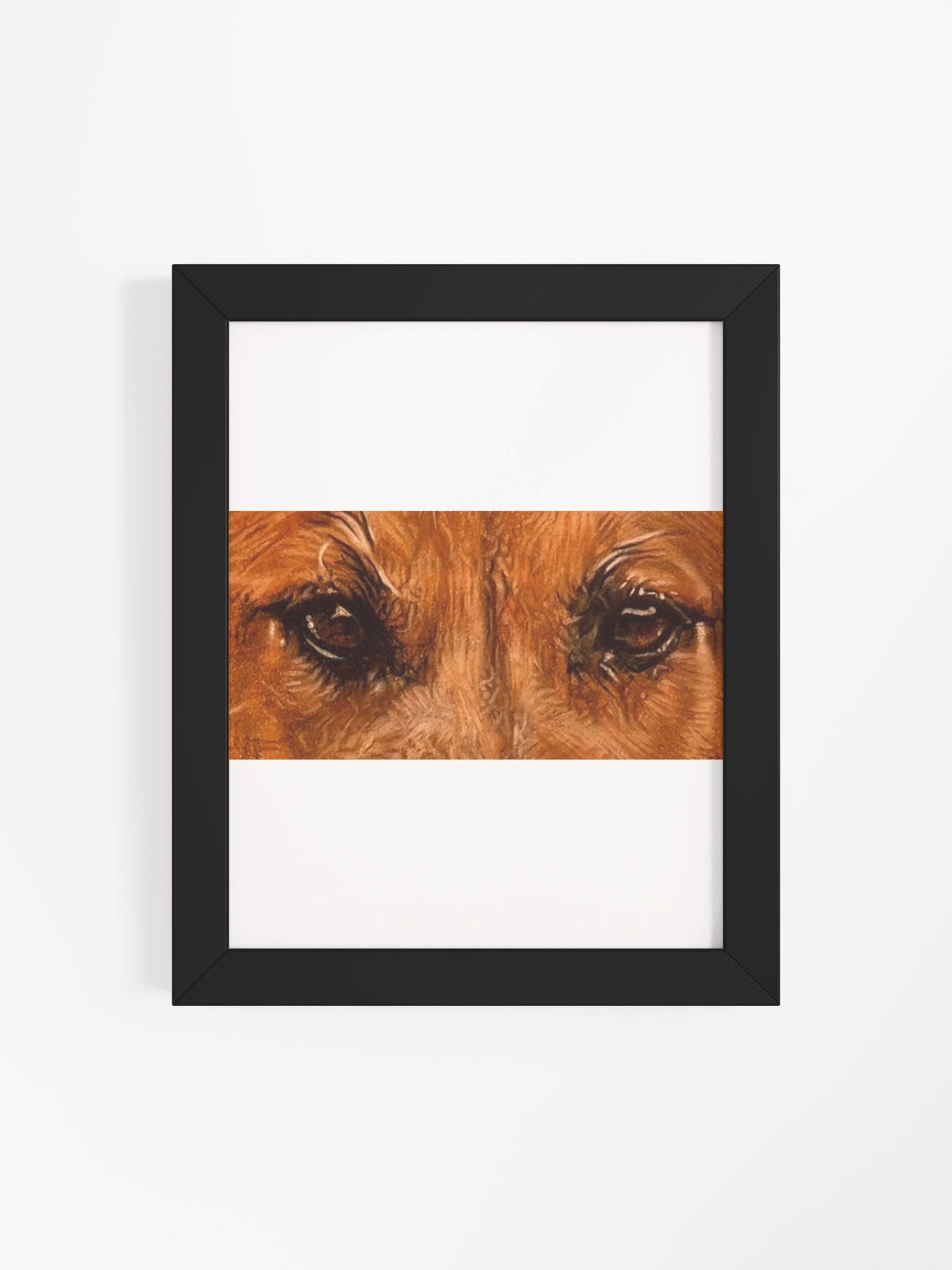 Black Mouth Cur Eyes Colored Pencil Framed product image (4)