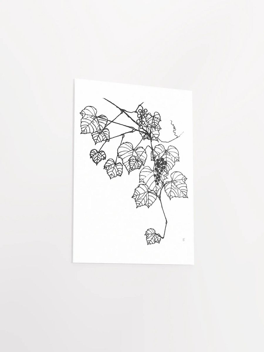 Vibrant Vineyard: Premium Matte Paper Poster - Grape Leaves Stylish product image (3)
