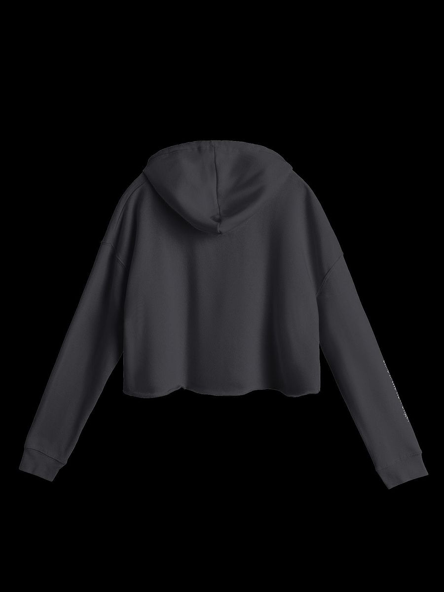 ABL Crop Hoodie product image (3)