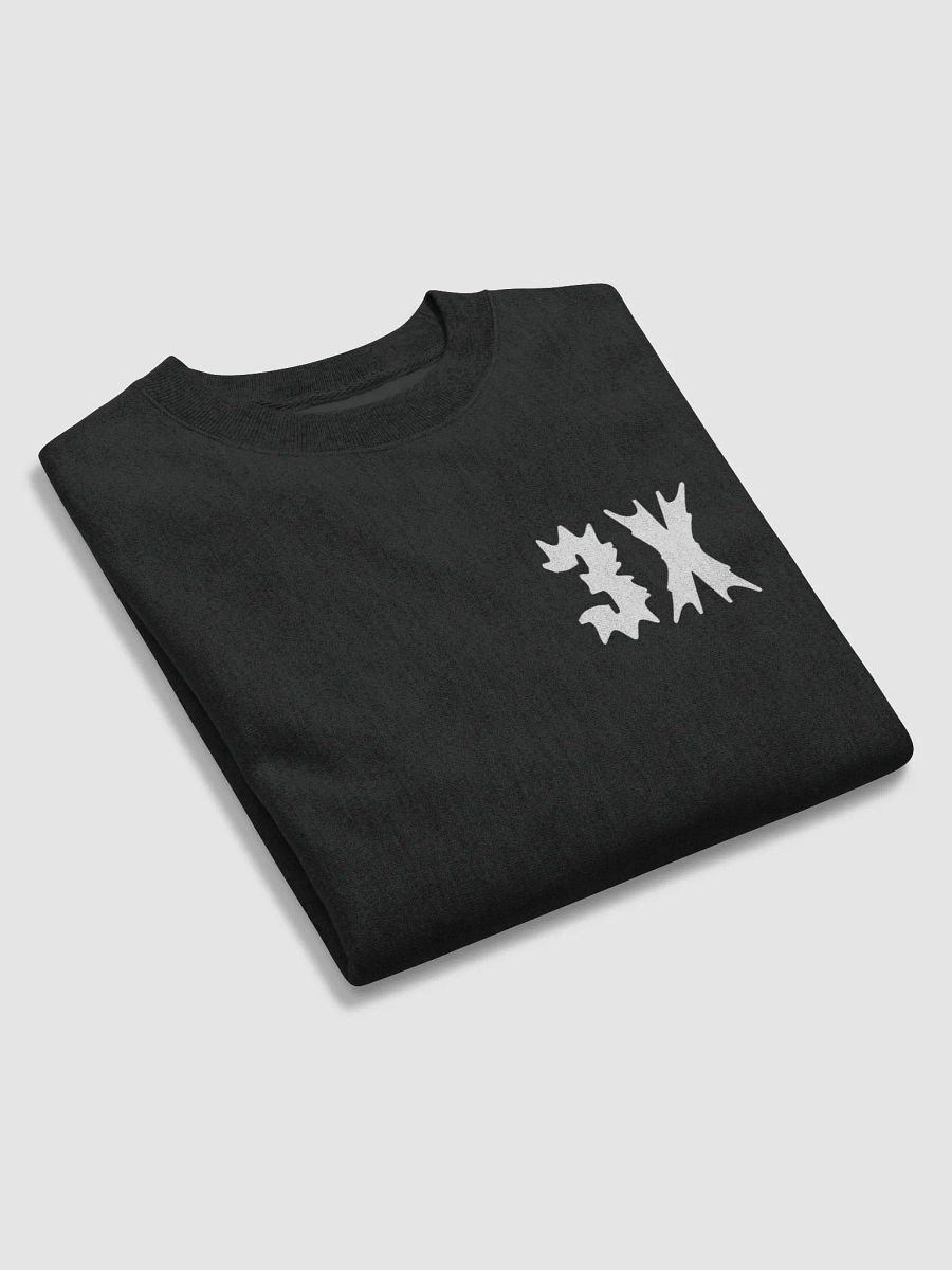 3X CHAMP SWEATSHIRT product image (5)